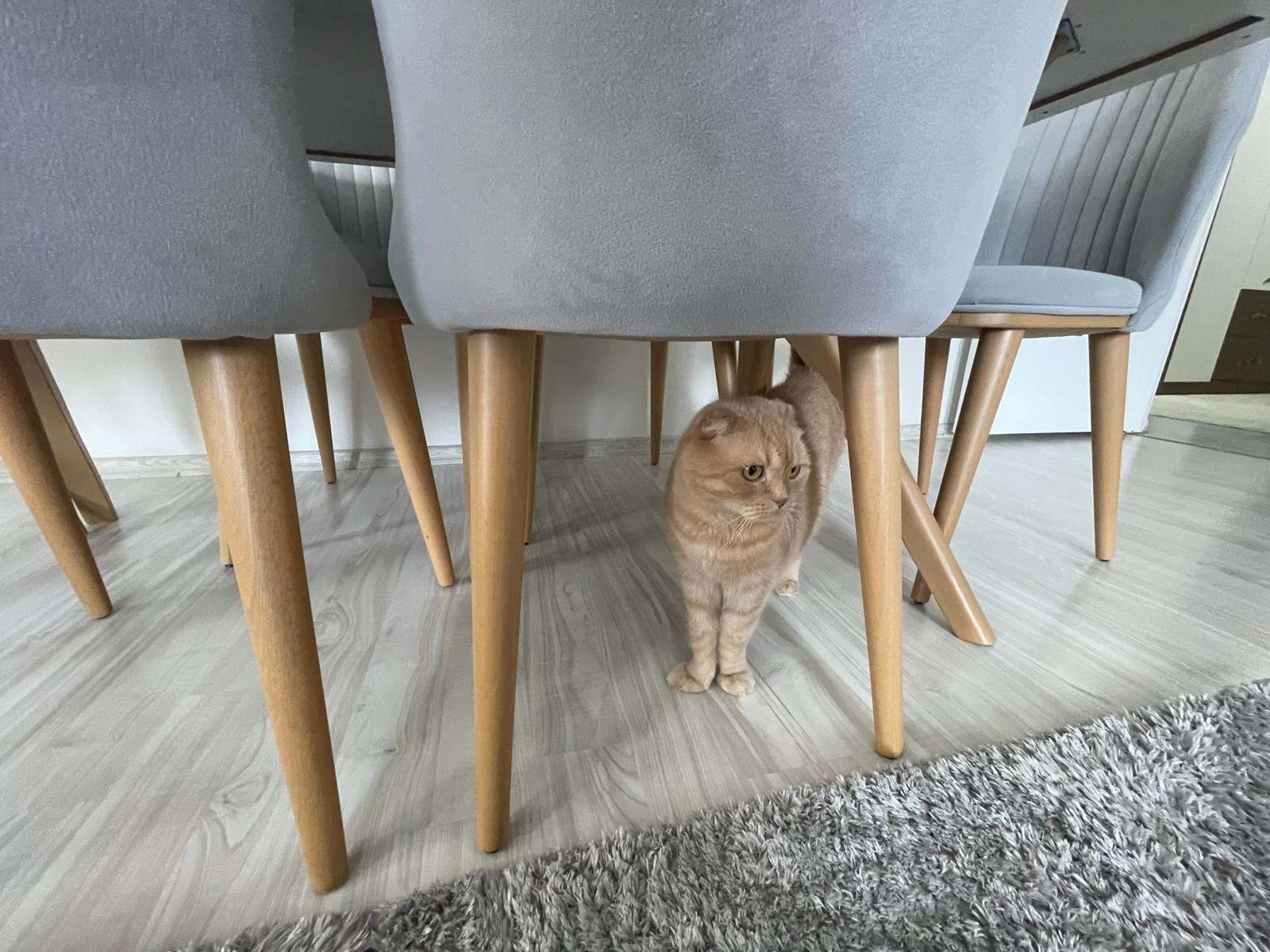 MABEL'DEN YILDIZKENT'TE SATILIK DAİRE